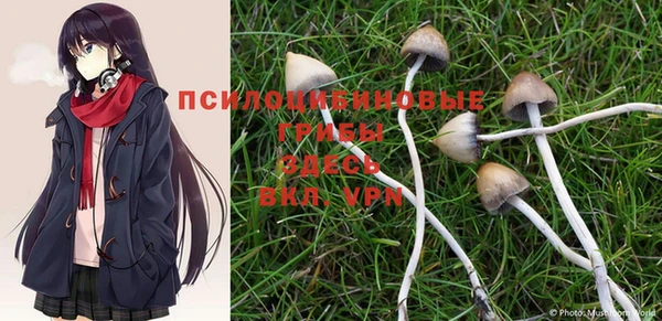 MDMA Premium VHQ Алексеевка